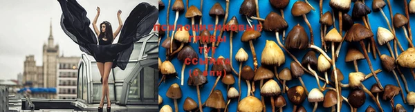 скорость Лихославль